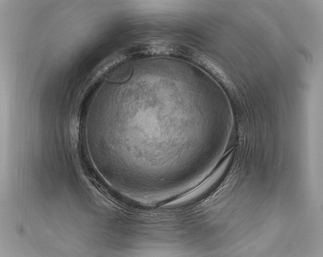 X0000110930722200906181428