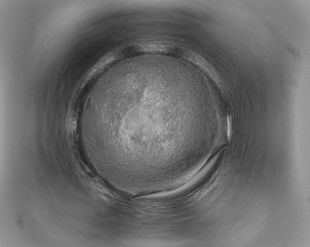 X0000110930723200906181428