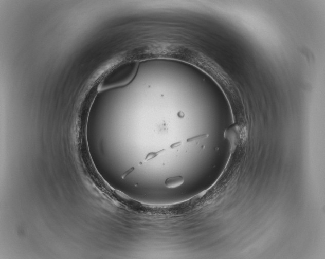 X0000110930724200906181428