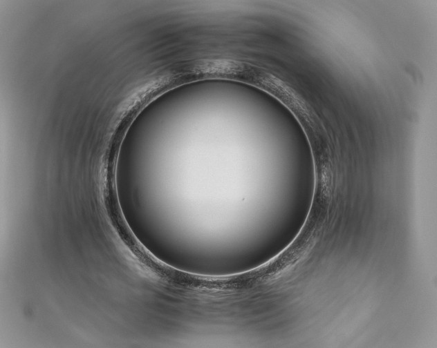 X0000110930725200906181428