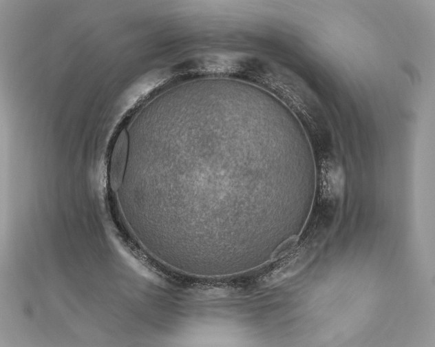 X0000110930726200906181428