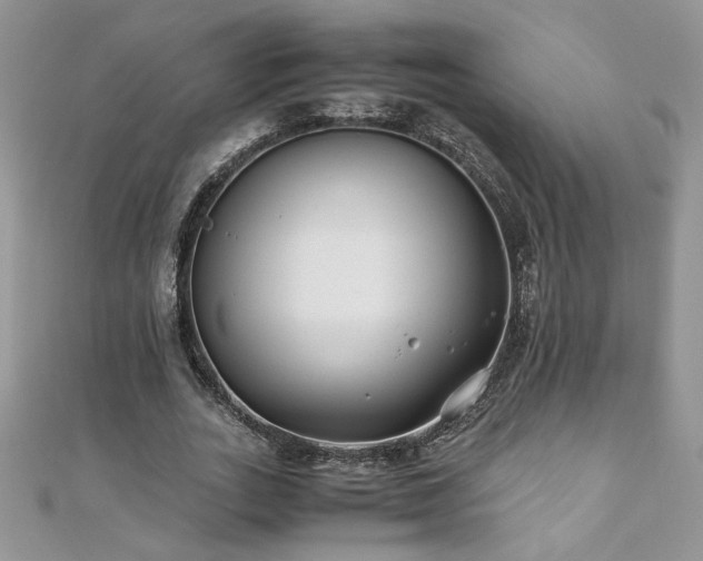 X0000110930727200906181428