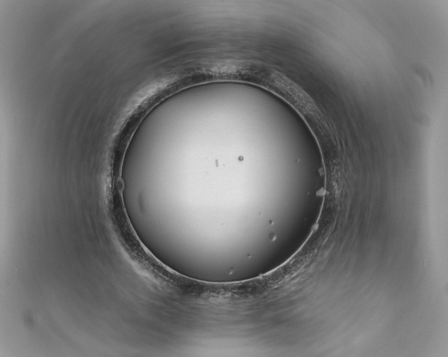 X0000110930728200906181428