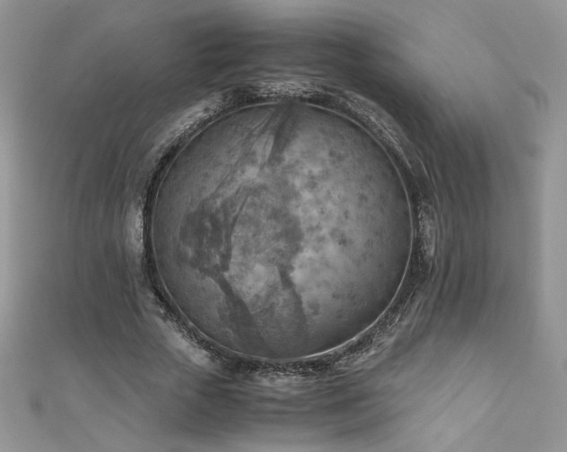 X0000110930729200906181428