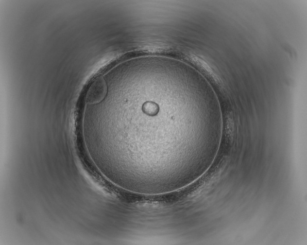 X0000110930730200906181428