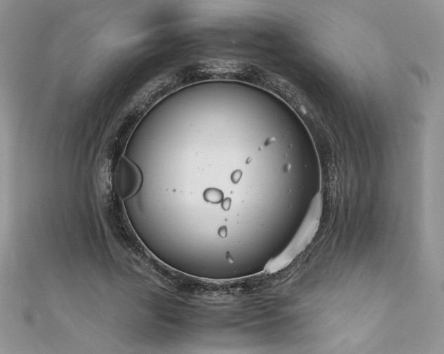 X0000110930731200906181428