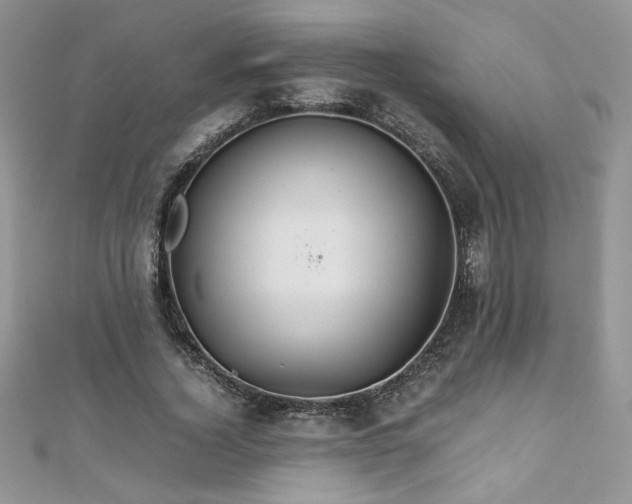 X0000110930732200906181428