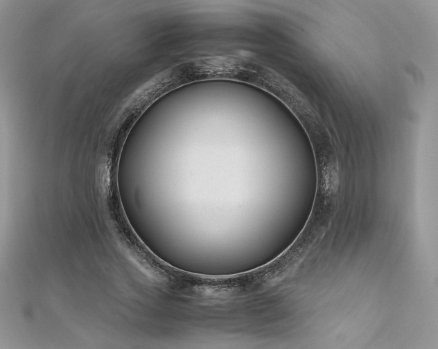 X0000110930733200906181428