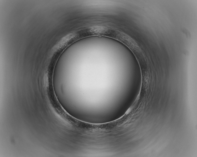 X0000110930734200906181428