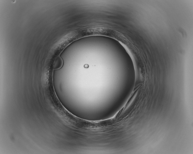 X0000110930735200906181428