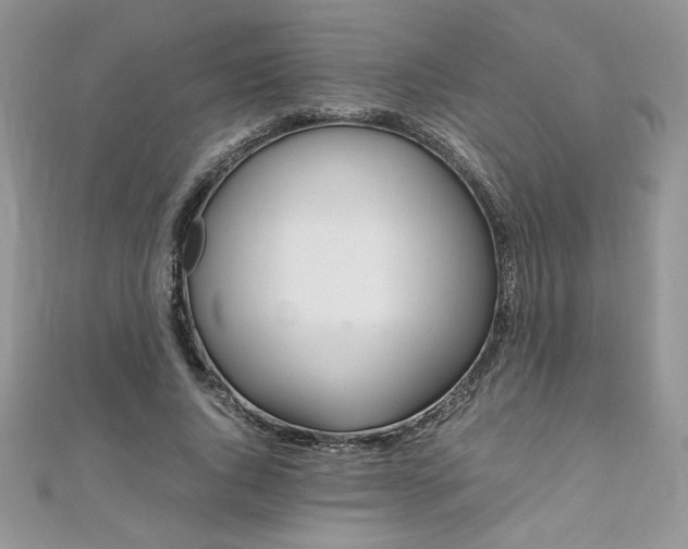 X0000110930736200906181428