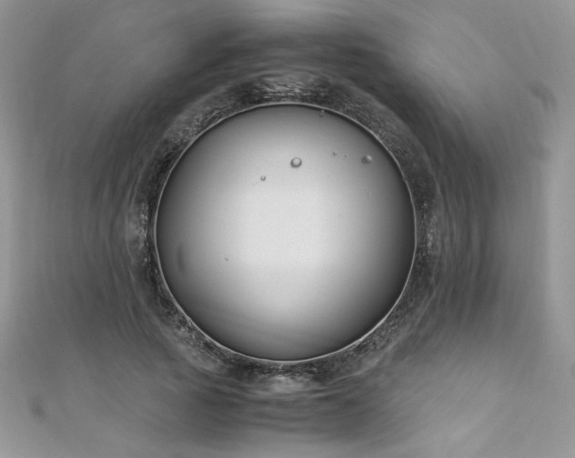 X0000110930737200906181428