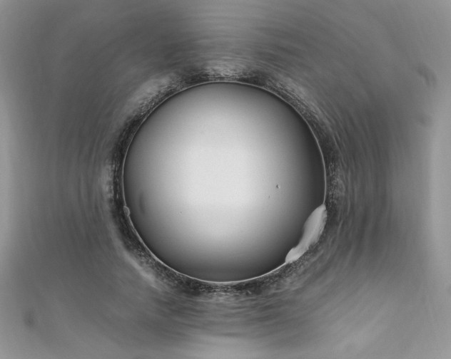 X0000110930738200906181428