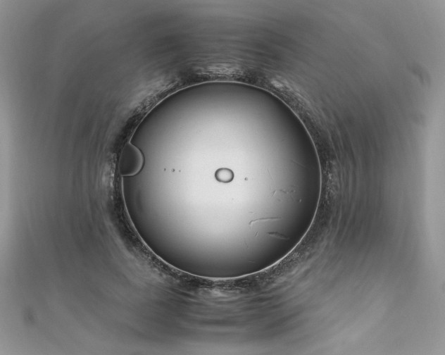 X0000110930739200906181428