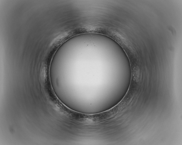 X0000110930740200906181428