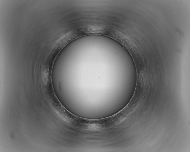 X0000110930741200906181428