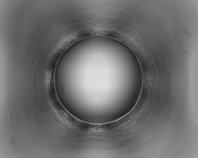 X0000110930742200906181428