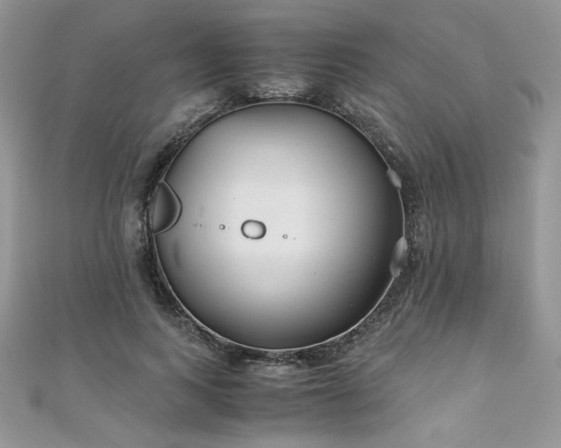 X0000110930743200906181428