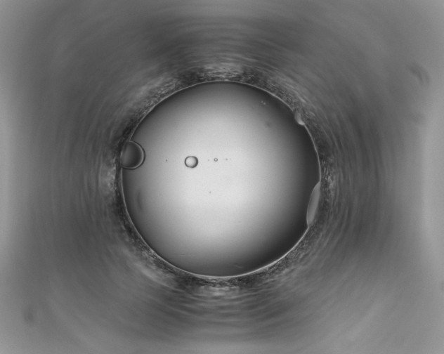 X0000110930745200906181428