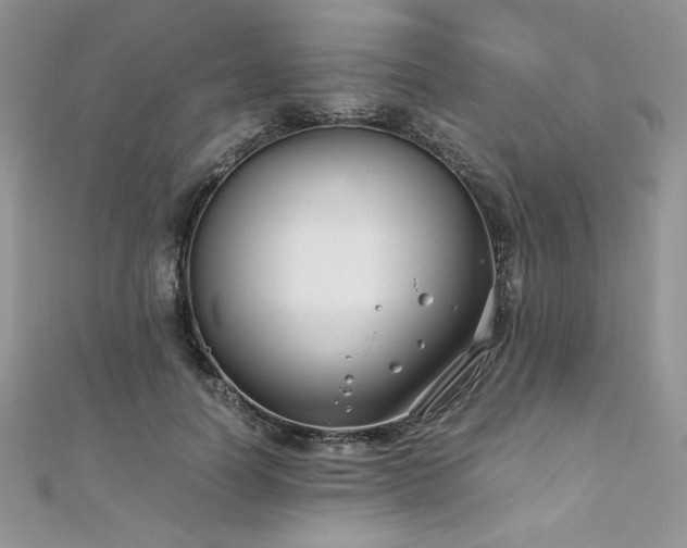 X0000110930746200906181428