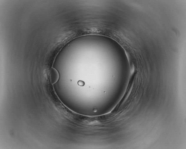 X0000110930747200906181428