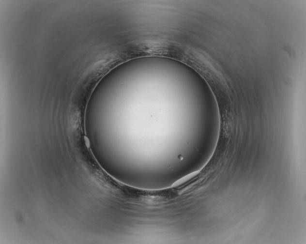 X0000110930748200906181428