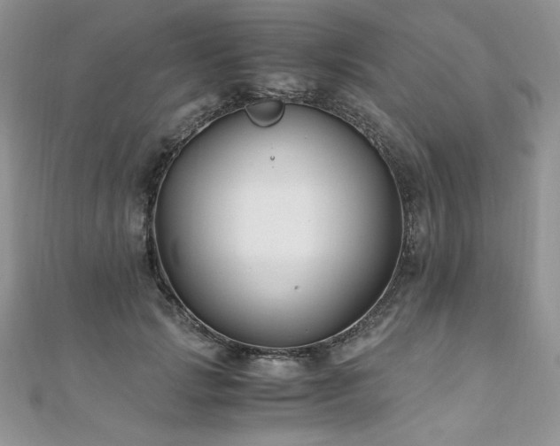 X0000110930749200906181428