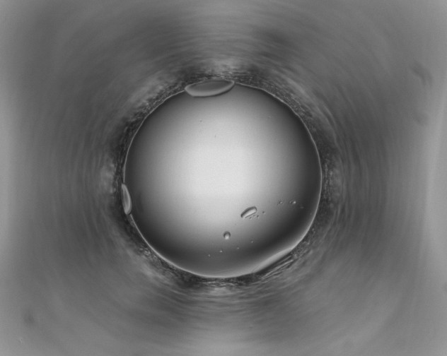 X0000110930750200906181428