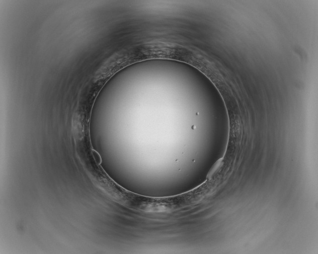 X0000110930751200906181428