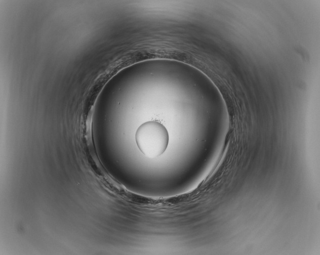 X0000110930752200906181428