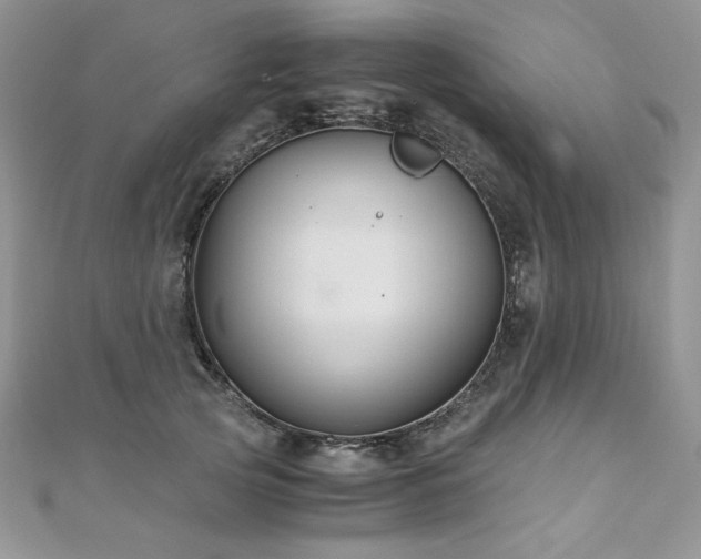 X0000110930753200906181428