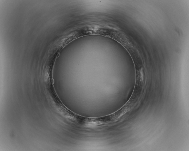 X0000110930754200906181428