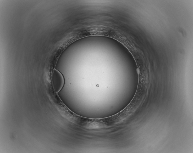 X0000110930755200906181428