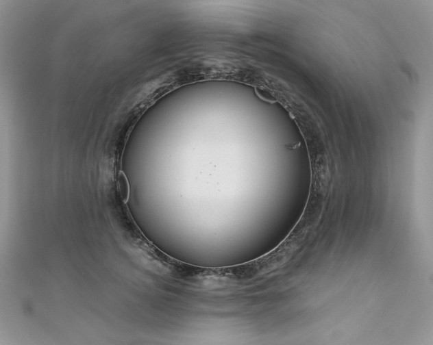 X0000110930756200906181428