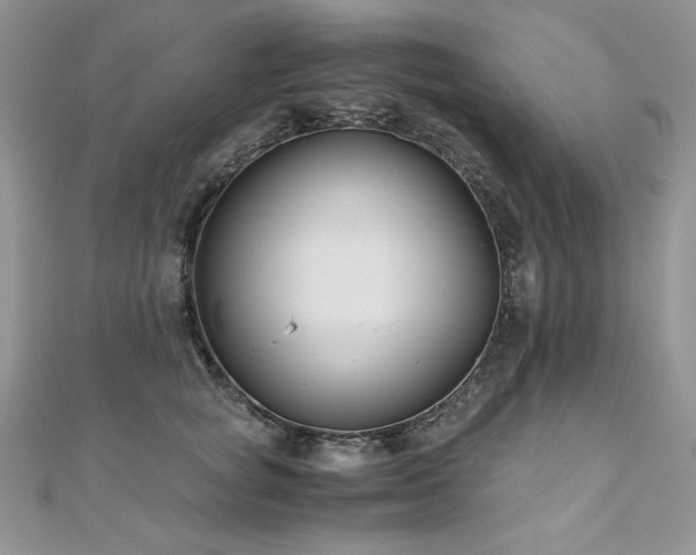 X0000110930757200906181428