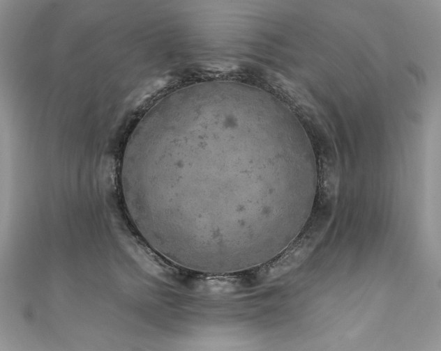 X0000110930758200906181428