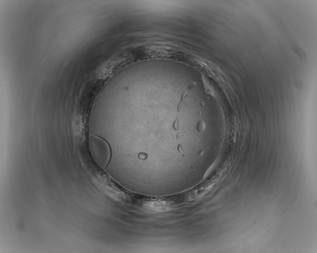 X0000110930759200906181429