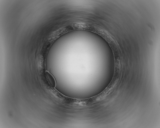 X0000110930760200906181429