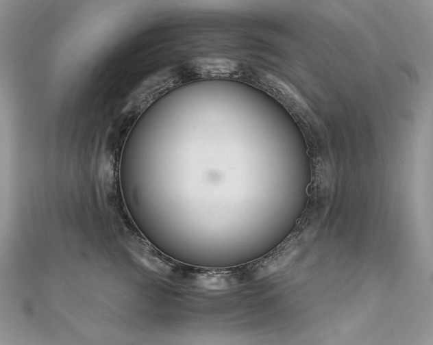 X0000110930761200906181429