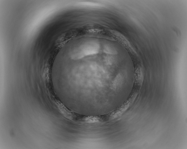 X0000110930762200906181429