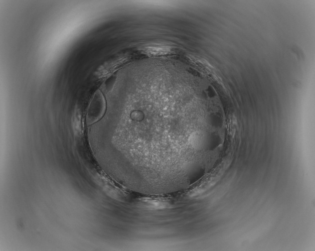 X0000110930763200906181429