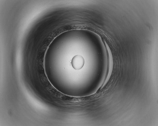 X0000110930764200906181429