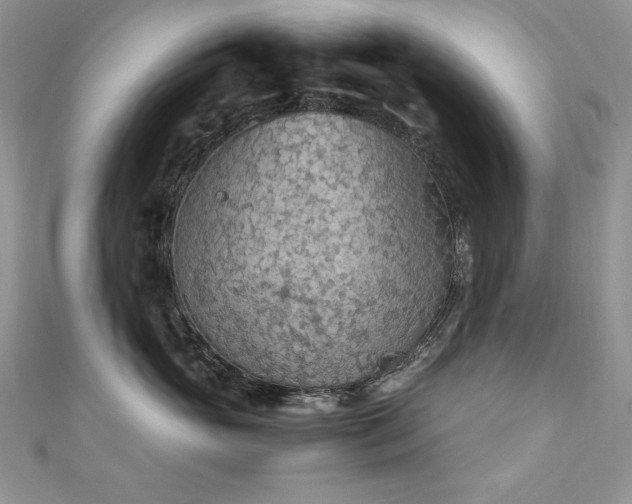 X0000110930765200906181429