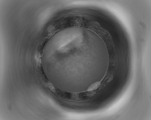 X0000110930766200906181429