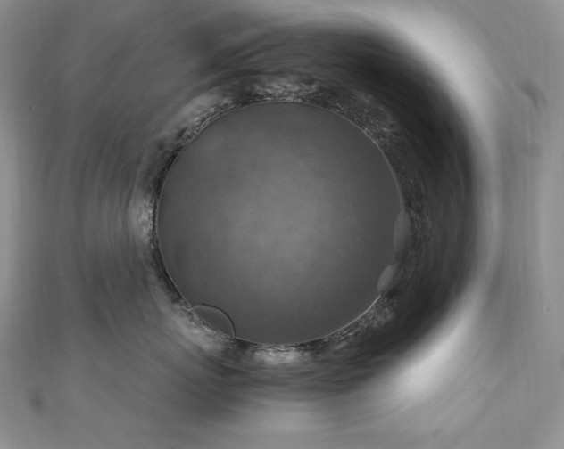 X0000110930767200906181429