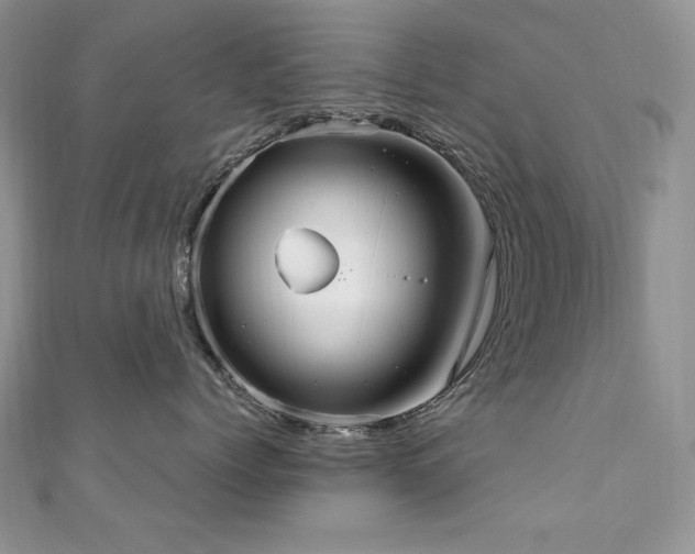 X0000110930768200906181429