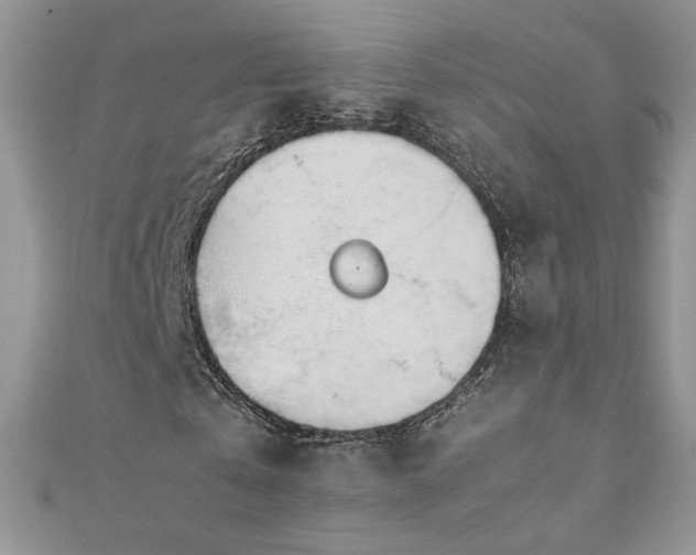 X0000110930769200906181428