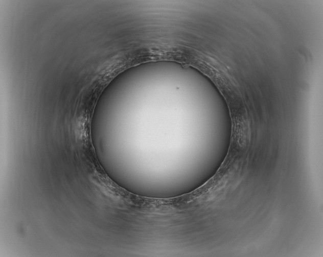 X0000110930770200906181428