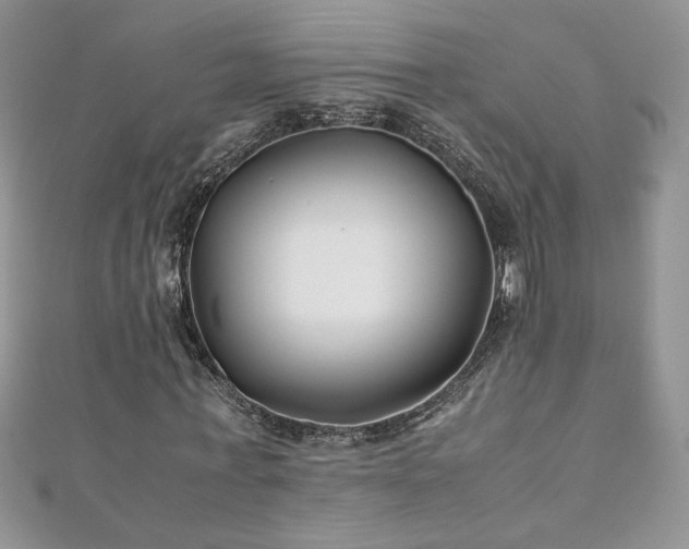 X0000110930771200906181428