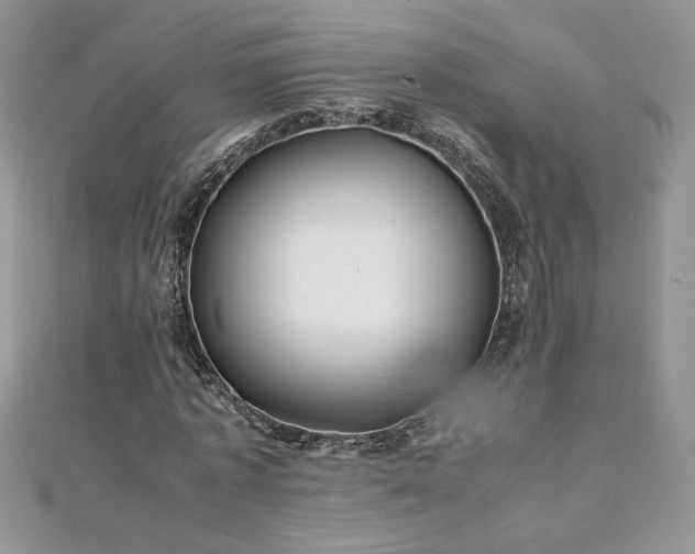 X0000110930773200906181428